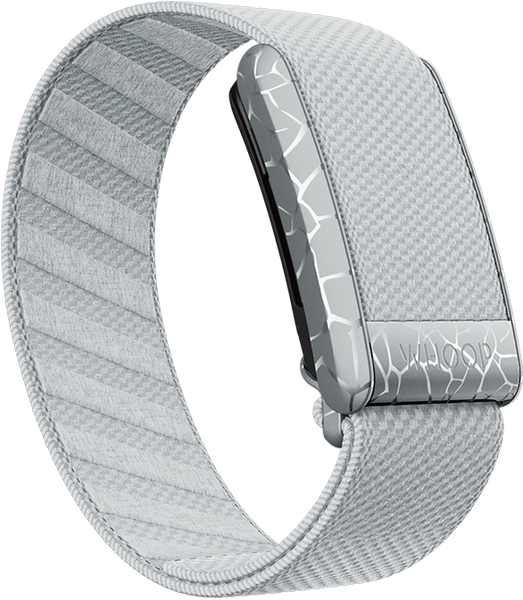 Electric Fog SuperKnit Band