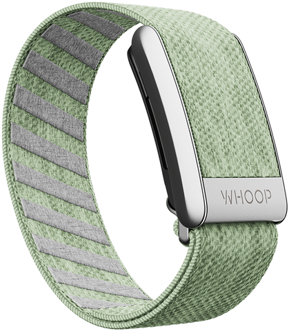 Eucalyptus SuperKnit Band