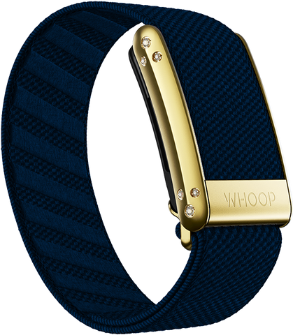 Niagara with Gold Crystal Luxe Band