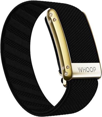 Onyx with Gold Crystal Luxe Band