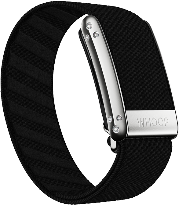 Onyx with Platinum Crystal Luxe Band