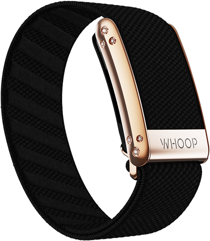 Onyx with Rose Gold Crystal Luxe Band