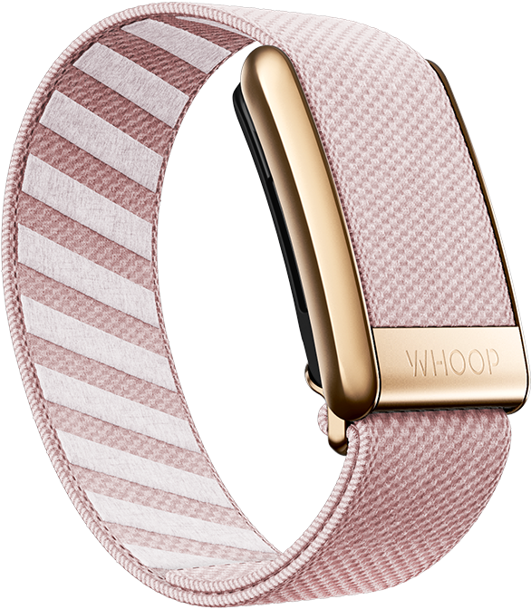 Nantucket with Rose Gold SuperKnit Luxe Band