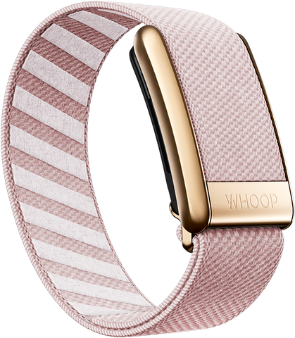 Nantucket with Rose Gold SuperKnit Luxe Band