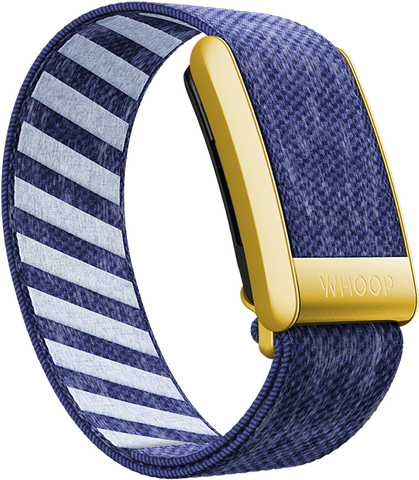 Nautilus with Gold SuperKnit Luxe Band