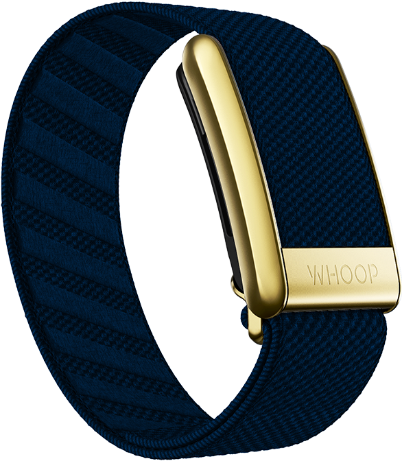 Niagara with Gold SuperKnit Luxe Band