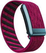 Miami Night SuperKnit Band