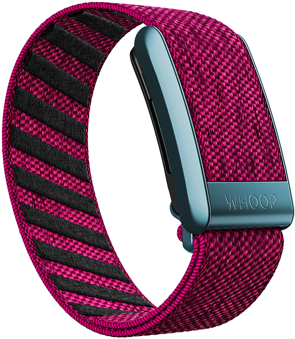 Miami Night SuperKnit Band