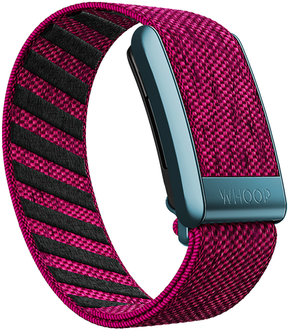 Miami Night SuperKnit Band