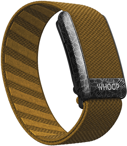 Oak SuperKnit Band