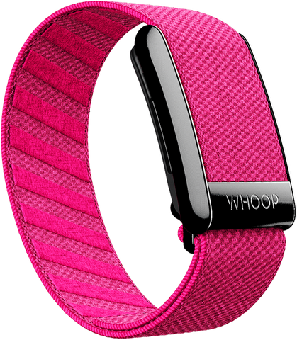 Podium Pink SuperKnit Band