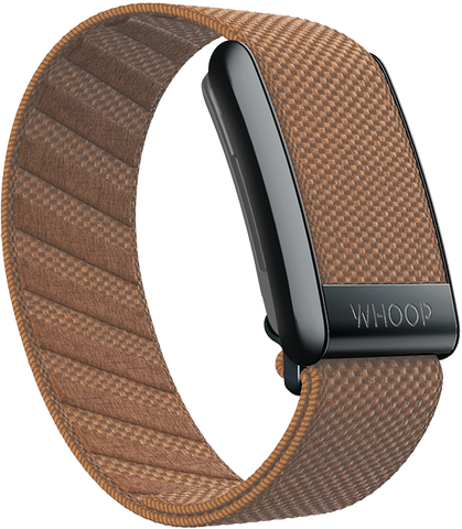 Cider SuperKnit Band
